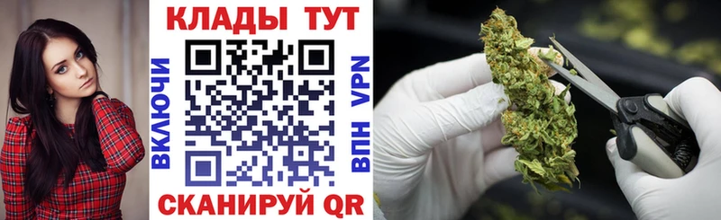 Где продают наркотики Инсар КОКАИН Alpha-PVP Гашиш