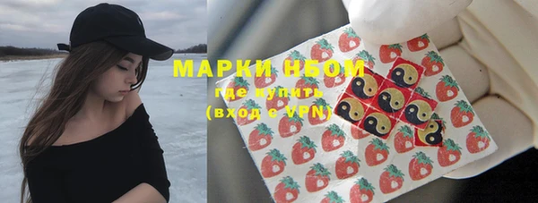 ПСИЛОЦИБИНОВЫЕ ГРИБЫ Вязьма
