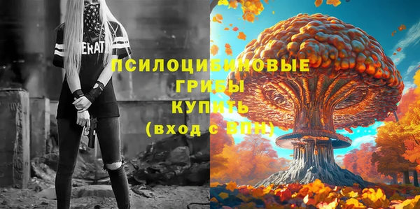 прущий лед Волосово