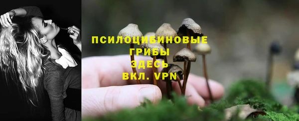 стаф Верхний Тагил