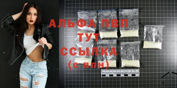 твердый Вяземский