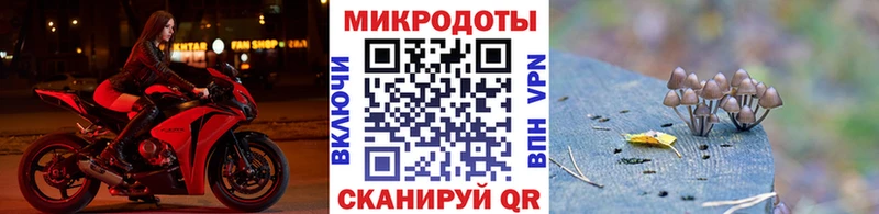 Псилоцибиновые грибы мухоморы  Инсар 